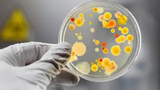 Заболеваемость выросла вдвое: санврачи предупредили алматинцев