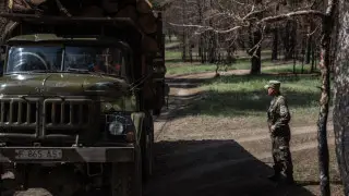 Леса передают в ведение Минобороны