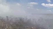 Пожар разгорелся вблизи озера Талдыколь в Астане
