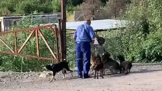 "В рай без очереди": добрый водитель автобуса умилил Казнет