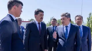 Премьер Бектенов назвал незаконных вырубщиков "врагами государства"