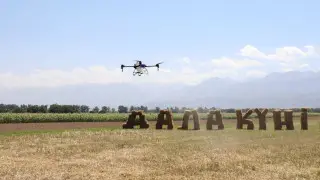 "Сельское хозяйство - наш основной ресурс":  в Алматинской области прошел День поля