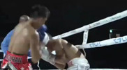 Сенсацией с кровавой зарубой завершился поединок чемпиона мира
