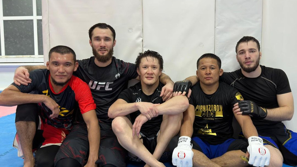 Двух казахстанцев исключили из UFC: сколько их осталось