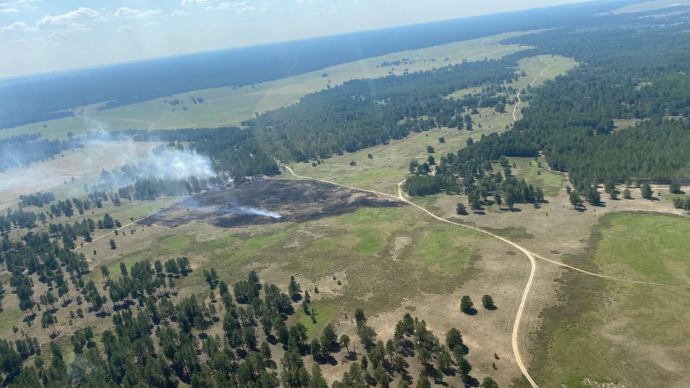 Пожарным удалось спасти лес в природном резервате 