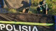 Тело женщины нашли на окраине Усть-Каменогорска