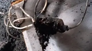 Казахстанец в коме после пожара из-за зарядного устройства