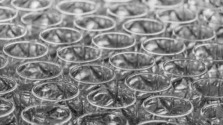 Немецкие ученые кардинально изменили свое мнение об алкоголе