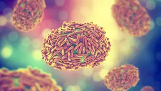 Президент ЮАР выступил с обращением из-за стремительно разрастающейся пандемии вируса Mpox