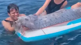 Редкая "рыба Судного дня" появилась из глубин у берегов США