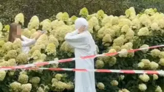 “Ничего не помогает“: в Ботаническом саду Алматы предупредили казахстанцев