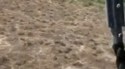Крупную наркоплантацию ликвидировали на юге Казахстана