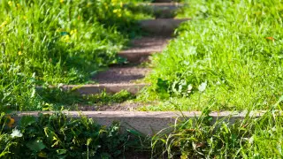 Мужчина лечился и выращивал коноплю в тубдиспансере