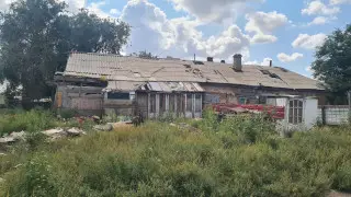 Из детдома в барак: мать с 3 детьми оказались в невыносимых условиях