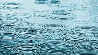 На севере, в центре и на востоке дожди. Погода на 27 августа