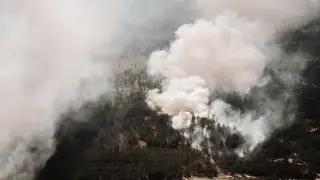 Апелляция рассмотрела дело о гибели людей в крупном лесном пожаре в области Абай