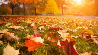 Сколько дней казахстанцы отдохнут в сентябре: календарь 2024