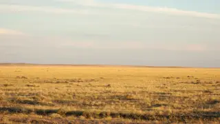 На западе страны без осадков. Погода на 28 августа