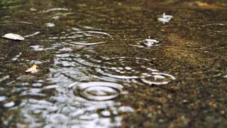 Дожди продолжаются. Прогноз погоды на 30 августа