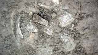 Человеческие кости и черепа обнаружены под дорогой в Алматинской области