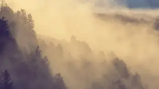 Туман и дождь: прогноз погоды в Астане и Алматы на 3 дня