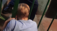Мальчик застрял головой в перилах в многоэтажке Экибастуза