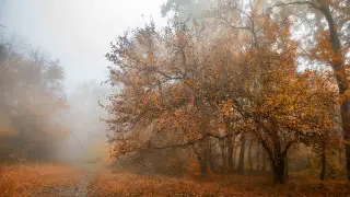 Похолодание и туманы: погода в Астане и Алматы на 3 дня