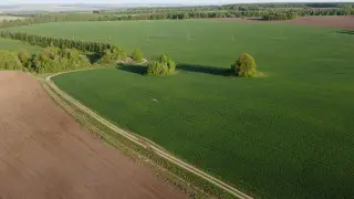 Участки стоимостью около 500 миллионов тенге вернули государству