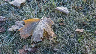 Жара, заморозки, сильный ветер: штормовое предупреждение объявили в регионах и Шымкенте