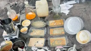 Проверить связь между нарколабораториями и органами потребовал депутат