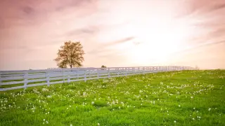 Чиновнику вынесли приговор за махинации с землей в ЗКО