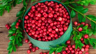 С ними не страшна простуда: 5 самых полезных ягод осени