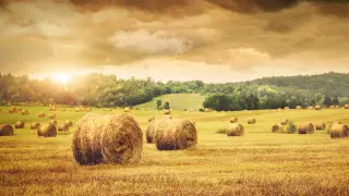 31-градусная жара, снег и туманы: погода в Казахстане на сегодня