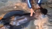 Патрульные спасли лошадь, упавшую в канализацию в Конаеве