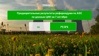 Референдум по АЭС: озвучены предварительные результаты голосования