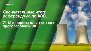 Референдум по АЭС: озвучены итоговые результаты голосования