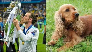 Легенда мадридского “Реала“ попал в неловкую ситуацию из-за собаки