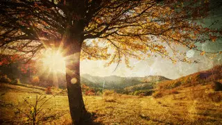 Гроза и сильный ветер: погода в Казахстане на сегодня