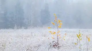 Накроют метели и морозы: погода в Казахстане на сегодня