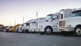 Неправомерные действия инспекторов: куда обращаться водителям большегрузов