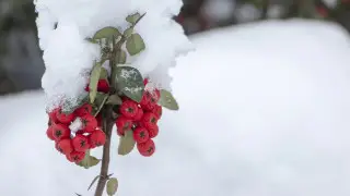 Накроют снег и туманы: прогноз погоды для Казахстана на 16 октября