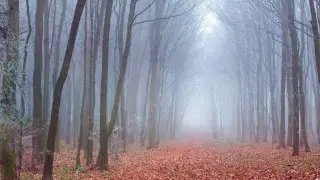 Туманы окутают на 3 дня: погода в Астане и Алматы