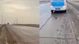 Полицейские возмутились качеством республиканских трасс вокруг Экибастуза