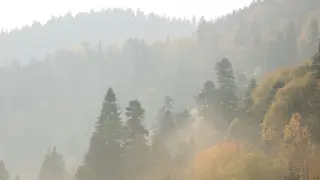 Потепление и туман: погода в Астане и Алматы на 3 дня