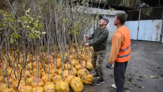 “Таза Қазақстан“: в Алматы стартовала кампания “Жарқын күз“