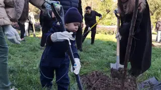 Жители всего Алматы объединились для участия в экоакции “Жарқын күз“