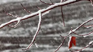 Циклон наступает: снег и дожди обрушатся на Казахстан