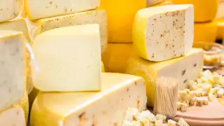 Сыроварню и птицеферму открыли в Карагандинской области