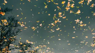 Зальют дожди: погода в Астане и Алматы на 3 дня