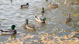 Штормовой ветер, дожди: погода в Астане и Алматы на праздники